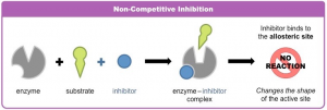 Gambar 3. Reaksi Inhibisi Enzim non-kompetitif