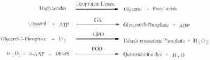 Gambar 2.  Reaksi konversi TG oleh Lipase menjadi gliserol dan asam lemak