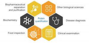 Gambar 1. Area Yang Membutuhkan Deteksi Protein