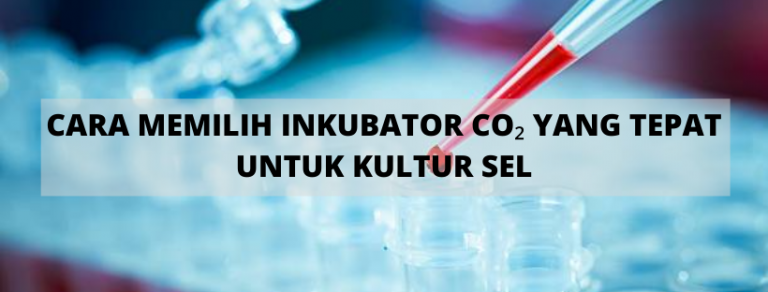 Tahukah Anda Tentang Conventional PCR / PCR Konvensional - PT Indogen ...