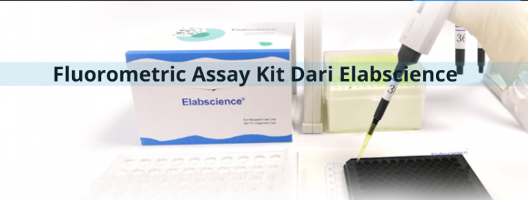 Baru! : Fluorometric Assay Kit Dari Elabscience - PT Indogen Intertama