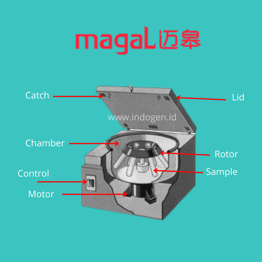 Centrifuge: Pengertian, Bagian Dan Cara Kerjanya - PT Indogen Intertama