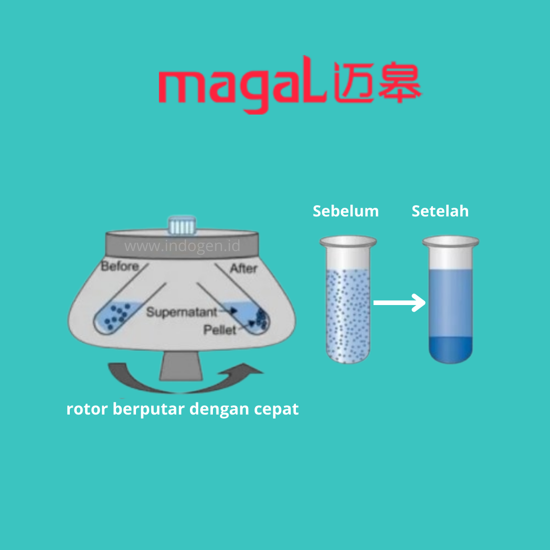 Centrifuge: Pengertian, Bagian Dan Cara Kerjanya - PT Indogen Intertama