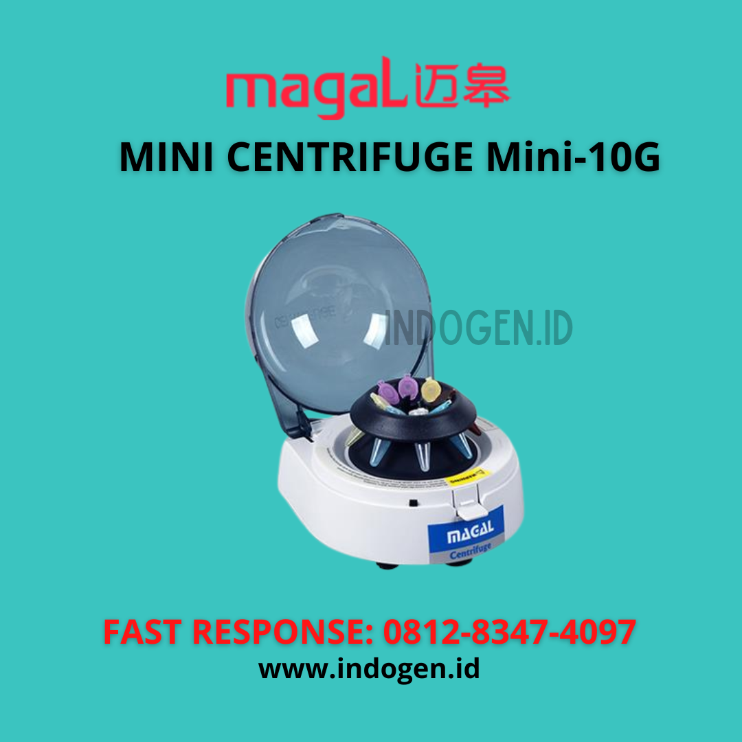 mini 10g