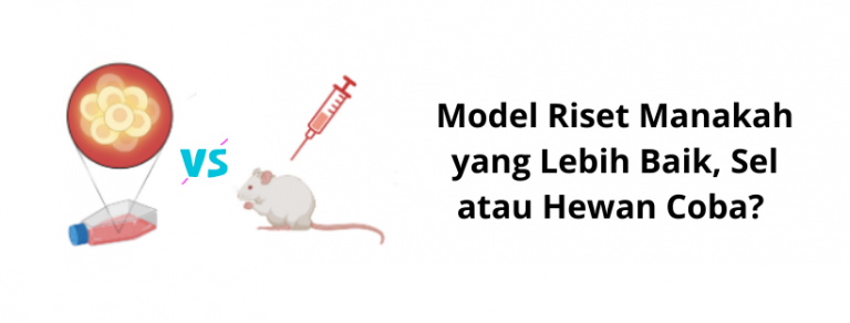 Model Riset Manakah yang Lebih Baik, Sel atau Hewan Coba ? - PT Indogen ...