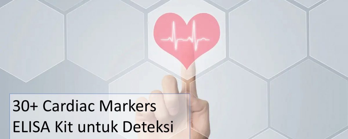 30+ Cardiac Markers ELISA Kit untuk Deteksi Penyakit Jantung