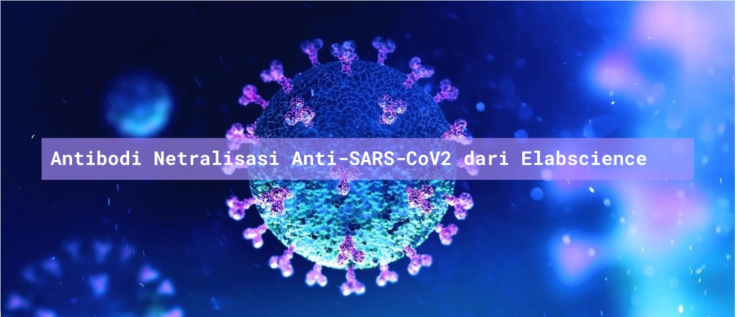 Antibodi Netralisasi Anti-SARS-CoV2 dari Elabscience _