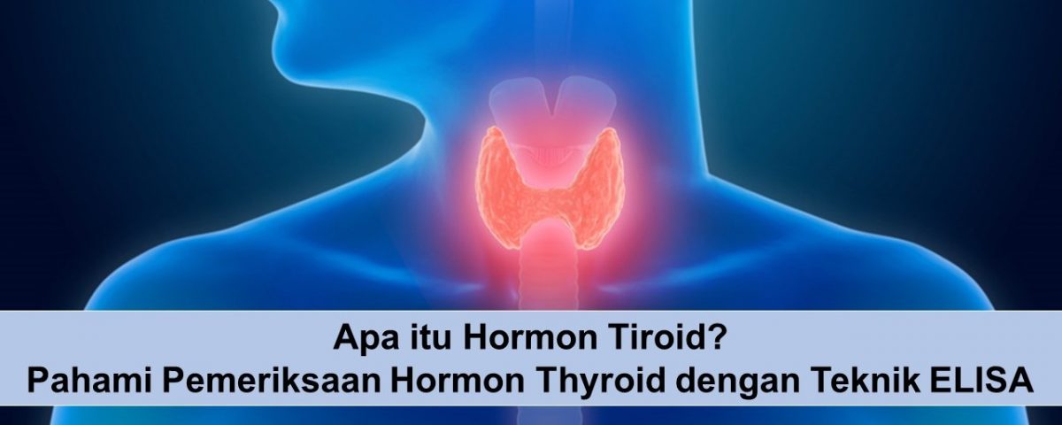 Apa itu Hormon Tiroid_ Pahami Pemeriksaan Hormon Thyroid dengan Teknik ELISA