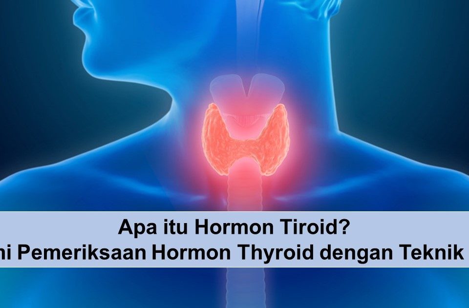 Apa itu Hormon Tiroid_ Pahami Pemeriksaan Hormon Thyroid dengan Teknik ELISA