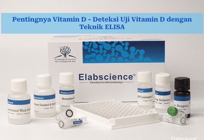 Pentingnya Vitamin D - Deteksi Uji Vitamin D dengan Teknik ELISA