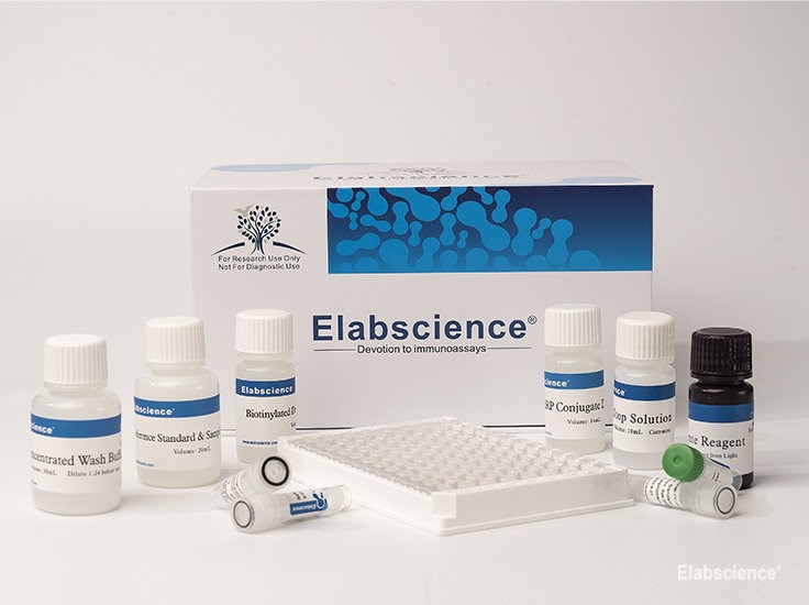 Gambar 1. Cytokine ELISA Kit Elabscience