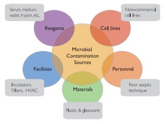 Gambar 1. Sumber Kontaminasi pada penelitian kultur sel