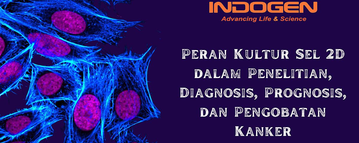 Peran-Kultur-Sel-2D-dalam-Penelitian,-Diagnosis,-Prognosis,-dan-Pengobatan-Kanker