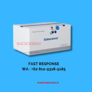 Gambar 1. Biochemical assay kit merk Elabscience