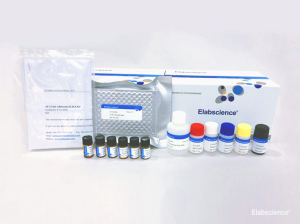 Gambar 1. ELISA Kit dari Elabscience untuk Deteksi Kloramfenikol