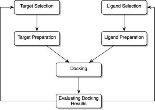 Gambar 1. General workflow analysis Molecular Docking