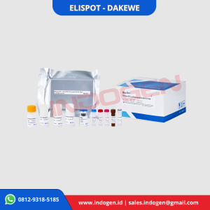 Gambar 1. Human IFN-Gamma ELISPOT Kit Merk Dakewe