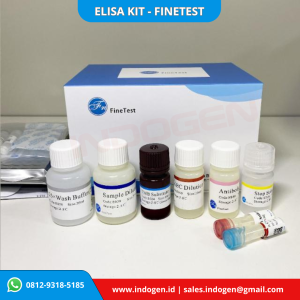 Gambar 1. Monkey ELISA kit merk Fine test