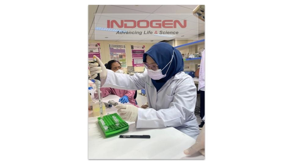 Gambar 10. Proses Pengenceran cDNA