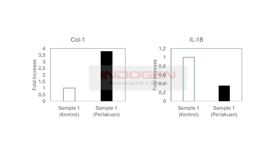 Gambar 15. Grafik Fold gene Expression IL-1β & COL-A