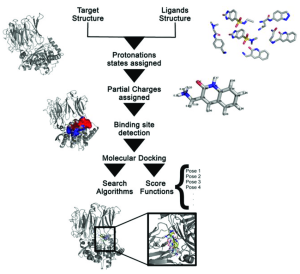 Gambar 2. Preparasi Protein Target dan Ligand