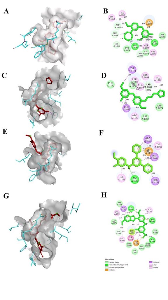 Gambar 3. Contoh visualisasi interaksi molekuler melalui software Autodock dalam tampilan 3D dan 2D pada penelitian : In Silico Molecular Docking and Dynamics Simulation Analysis of Potential Histone Lysine MethylTransferase Inhibitors for Managing β-Thalassemia