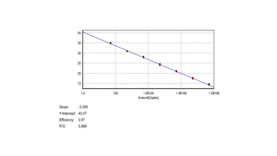 Gambar 4. Kurva Standar RT-PCR. X-axis menunjukan jumlah copy DNA dan Y-axis merupakan jumlah siklus threshold / CT (Threshold Cycle).