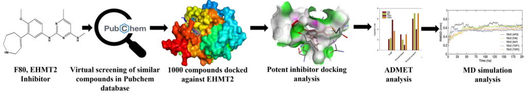 Gambar 4. Ringkasan Analysis In Silico molecular docking dan molecular dynamic simulation pada penelitian : In Silico Molecular Docking and Dynamics Simulation Analysis of Potential Histone Lysine MethylTransferase Inhibitors for Managing β-Thalassemia