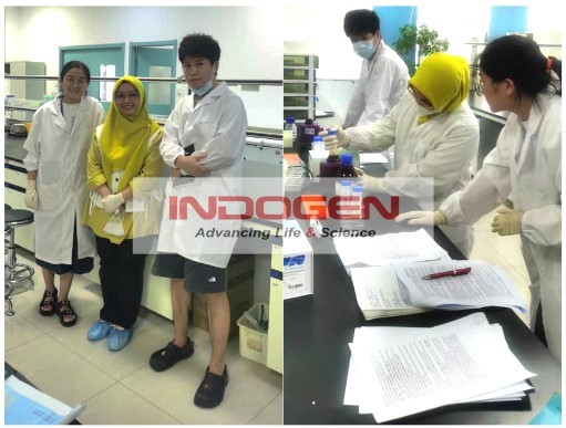 Gambar 1. Pengerjaan Food Safety ELISA Kit bersama di Laboratorium Elabscience