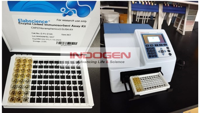 Gambar 3. Pembacaan hasil CAP ELISA Kit pada Microplate reader