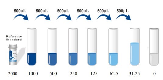 Gambar 3. Pengenceran Standard Mouse IL-6 ELISA Kit