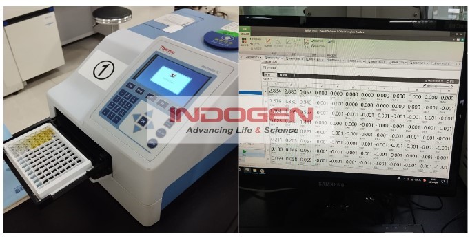 Gambar 6. Pengukuran Absorbansi menggunakan Microplate Reader