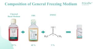 Gambar 7. Komposisi General Freezing Medium