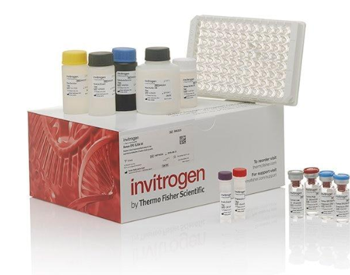 Gambar 2 20-Hydroxyecdysone ELISA Kit Invitrogen