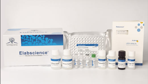 Gambar 2 T(Testosterone) ELISA Kit (E-EL-0155)