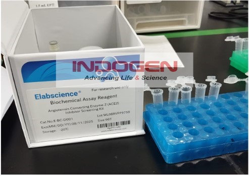 Gambar 2. Angiotensin I Converting Enzyme 2 (ACE2) Inhibitor Screening Kit