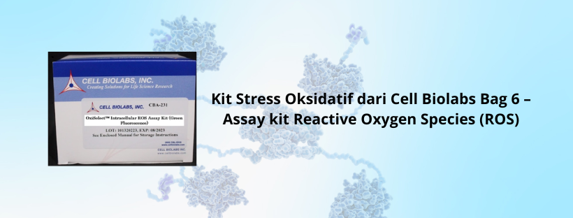 Kit Stress Oksidatif dari Cell Biolabs Bag 6 – Assay kit Reactive Oxygen Species (ROS)