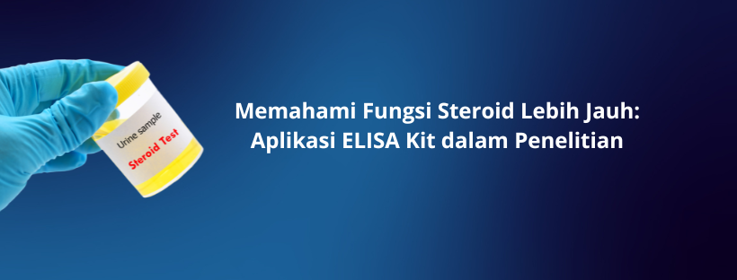 Memahami Fungsi Steroid Lebih Jauh_ Aplikasi ELISA Kit dalam Penelitian