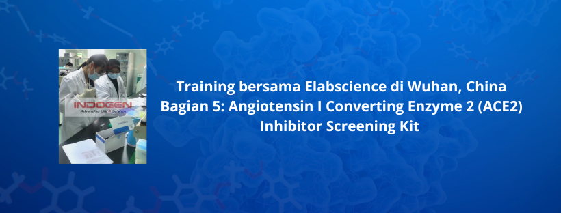 Training bersama Elabscience di Wuhan, China Bagian 5_ Angiotensin I Converting Enzyme 2 (ACE2) Inhibitor Screening Kit