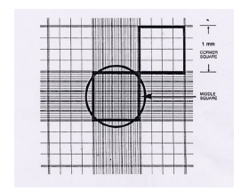 Gambar 5: grid Haemocytometer dilihat dengan mikroskop. Empat kotak besar di pojok adalah lokasi untuk menghitung sel .