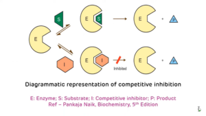 Gambar 1. Representasi inhibitor kompetitifSumber: https://youtu.be/afvo3OaTiyU?si=GfZlcTpk-g17l69n