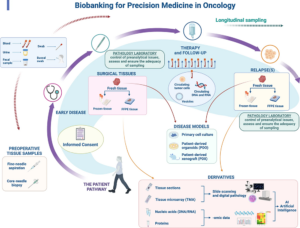 Gambar 2. Biobank untuk pengobatan presisi dalam onkologi (Annaratone et al., 2021)