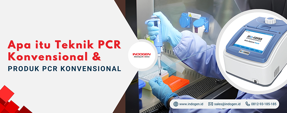 Apa itu Teknik PCR Konvensional & Produk PCR Konvensional