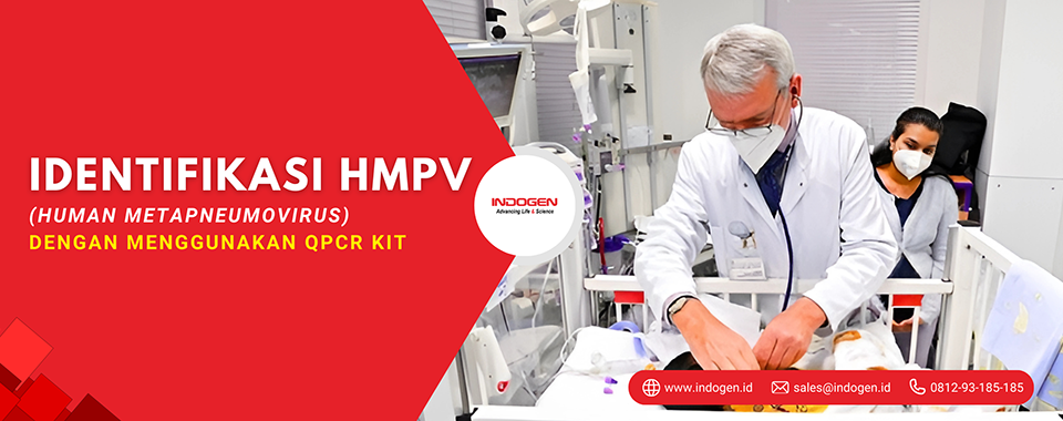 Identifikasi HMPV (Human Metapneumovirus) dengan Menggunakan qPCR Kit