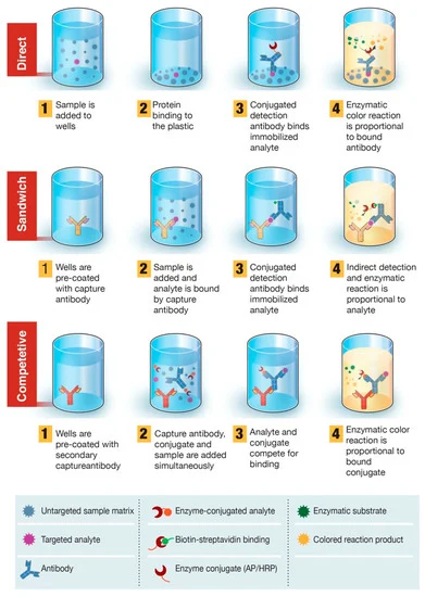 Gambar 1. Tinjauan umum uji diagnostik berbasis enzyme-linked immunosorbent assay