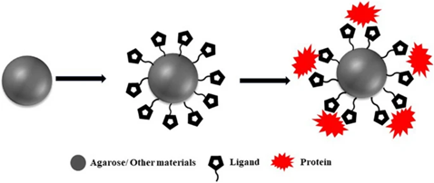Gambar 1. Interaksi antara protein dan ligan dalam material tertentu (Qi dan Chen, 2024