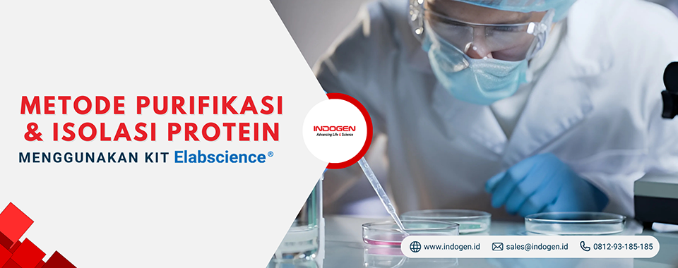 Metode Purifikasi & Isolasi Protein Menggunakan Kit Elabscience