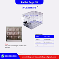 rabit