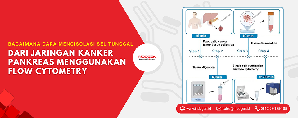 Bagaimana Cara Mengisolasi Sel Tunggal dari Jaringan Kanker Pankreas Menggunakan Flow Cytometry