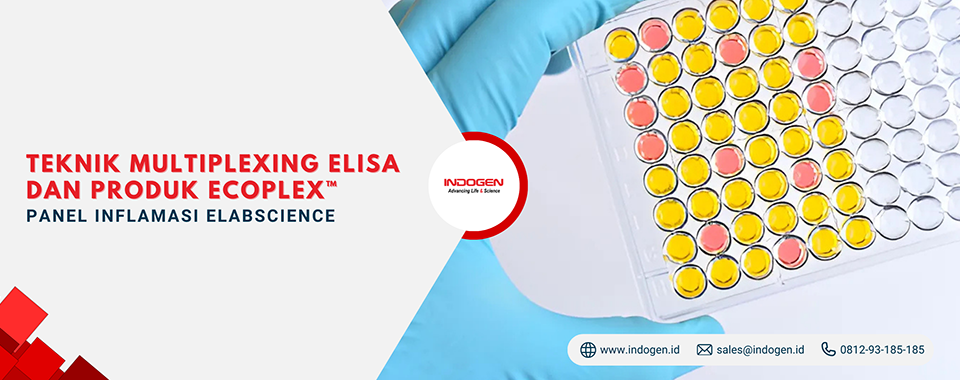 Teknik Multiplexing ELISA dan Produk EcoPlex™ Panel Inflamasi Elabscience